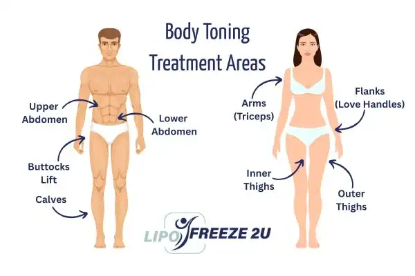 Graphic showing where you can have Body toning Treatment Newark-on-Trent on your body